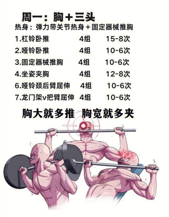 新手入门：2026健身计划从零开始全攻略