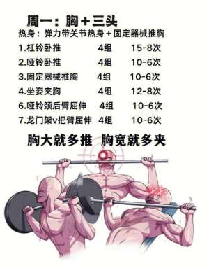 新手入门：2026健身计划从零开始全攻略