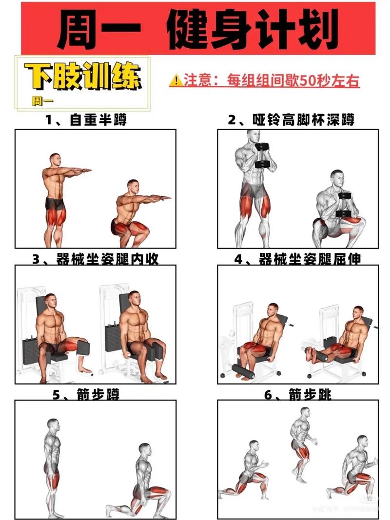 运动康复：2026年健身入门对慢性疼痛的缓解