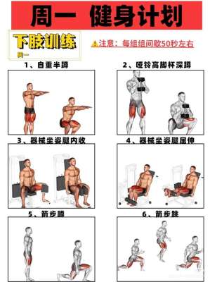 运动康复：2026年健身入门对慢性疼痛的缓解