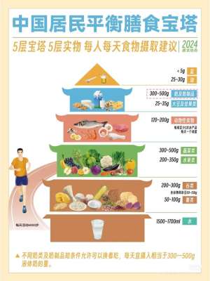 如何通过2026年膳食指南改善亚健康状态？