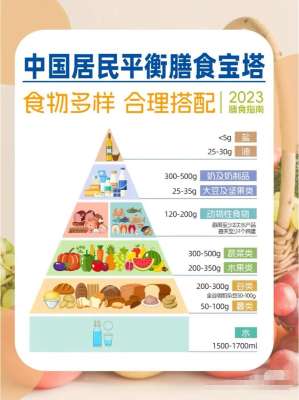 揭秘2026年营养均衡的营养成分与功效