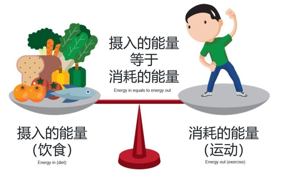 不同人群2026能量摄入需求各不相同