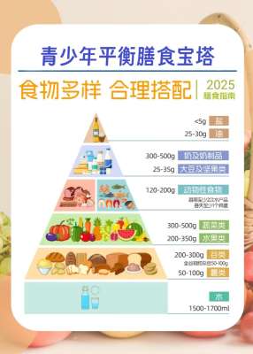 不同人群2026膳食宝塔需求各不相同