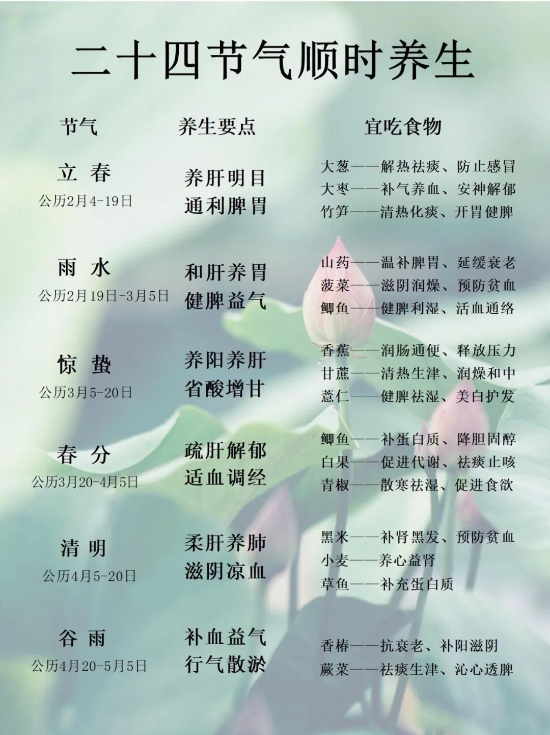 2026节气养生的科学依据与实用方法