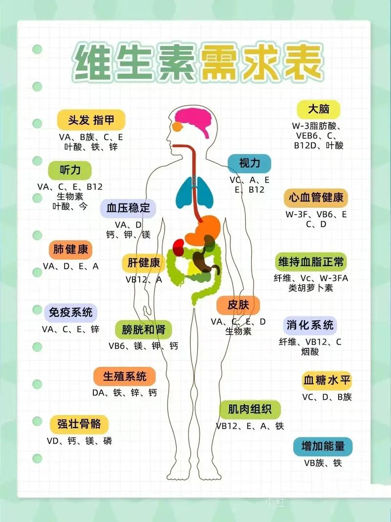 2026营养需求的健康食谱大全