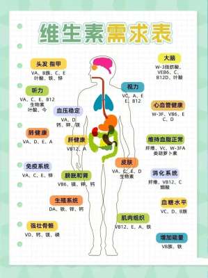 2026营养需求的健康食谱大全