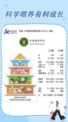 减肥期间2026饮食营养怎么吃？