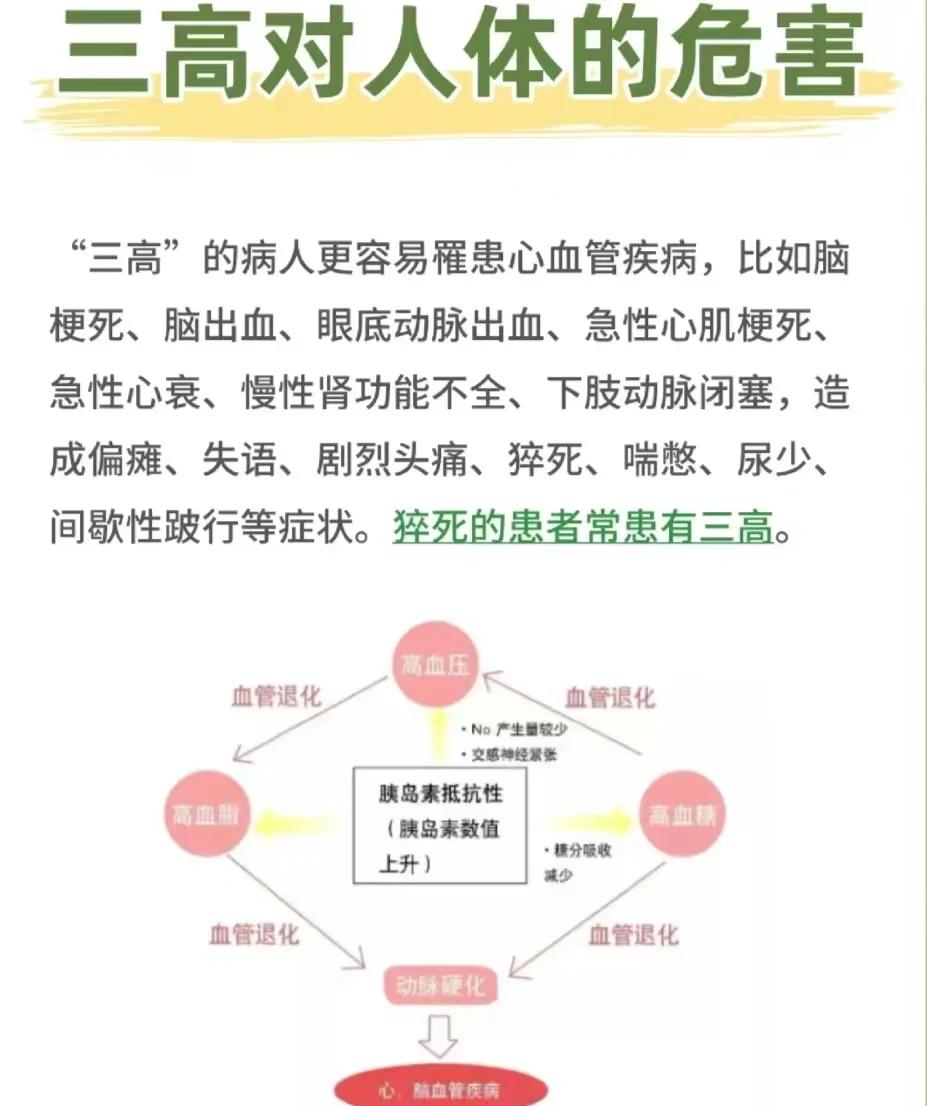 三高防治分析高危人群必读的预防手册