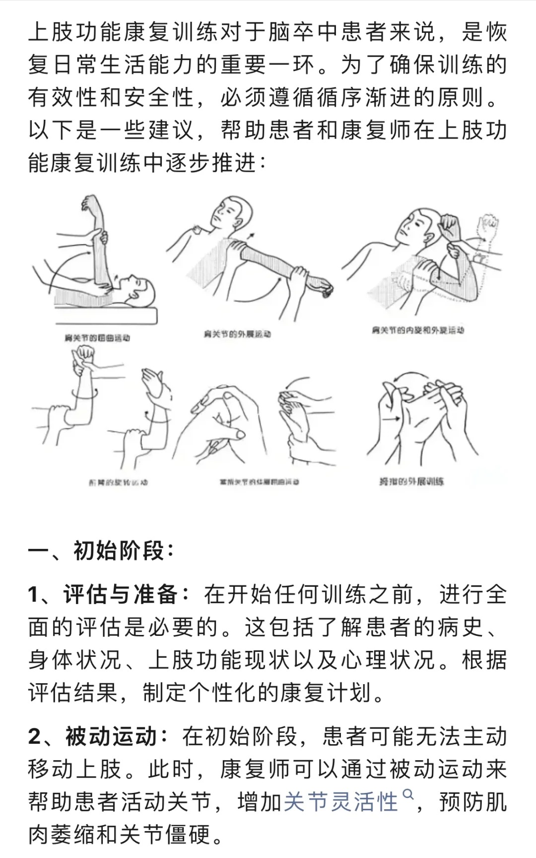 上肢训练的装备选择指南