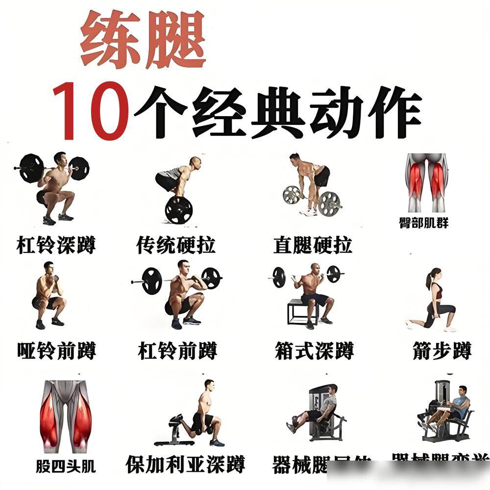 下肢训练前后的热身拉伸不容忽视