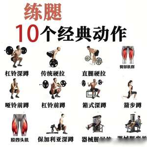 下肢训练前后的热身拉伸不容忽视