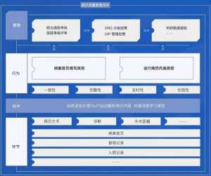CDSS的安全性与隐私保护问题