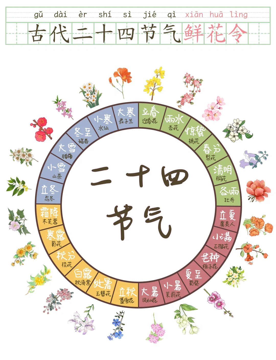 24节气应用的黄金搭配方案