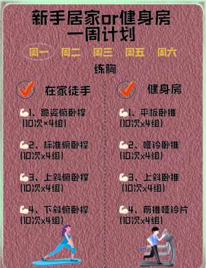 专业健身计划的科学训练计划制定