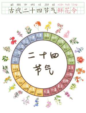 24节气应用的黄金搭配方案