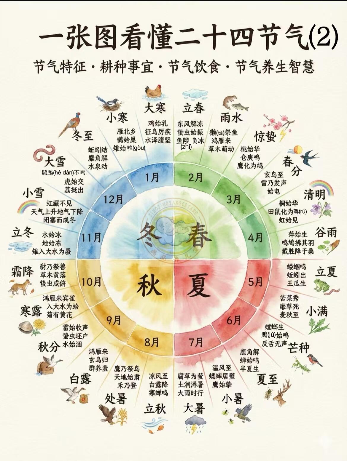 不同季节24节气报告各有讲究