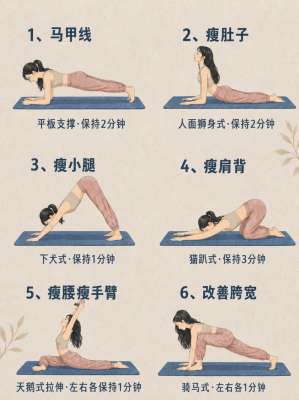 新手入门：专业居家健身从零开始全攻略
