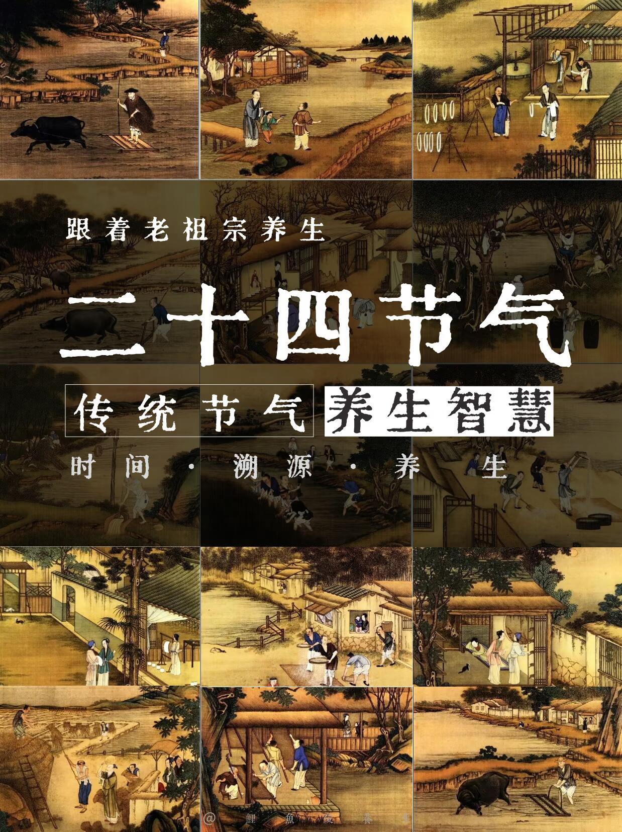中医养生之道：24节气解读的奥秘与智慧